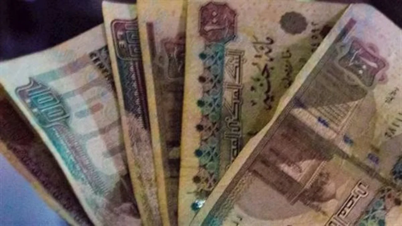 استعلم عن ملف معاشك.. خطوات بسيطة لشهر يوليو 2026